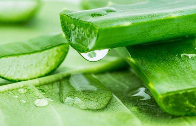 库拉索芦荟提取物的护肤功效与作用有哪些？
