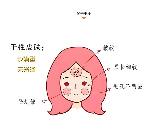 干性皮肤怎么保养才好？干性皮肤保养方法